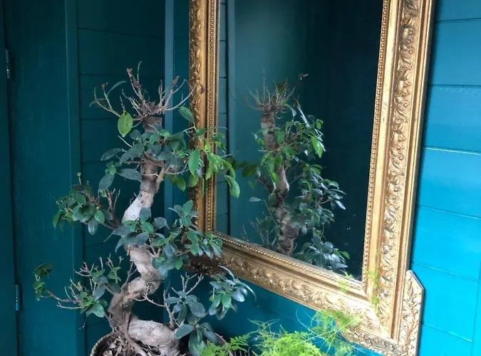 Apartamento 3daliphard